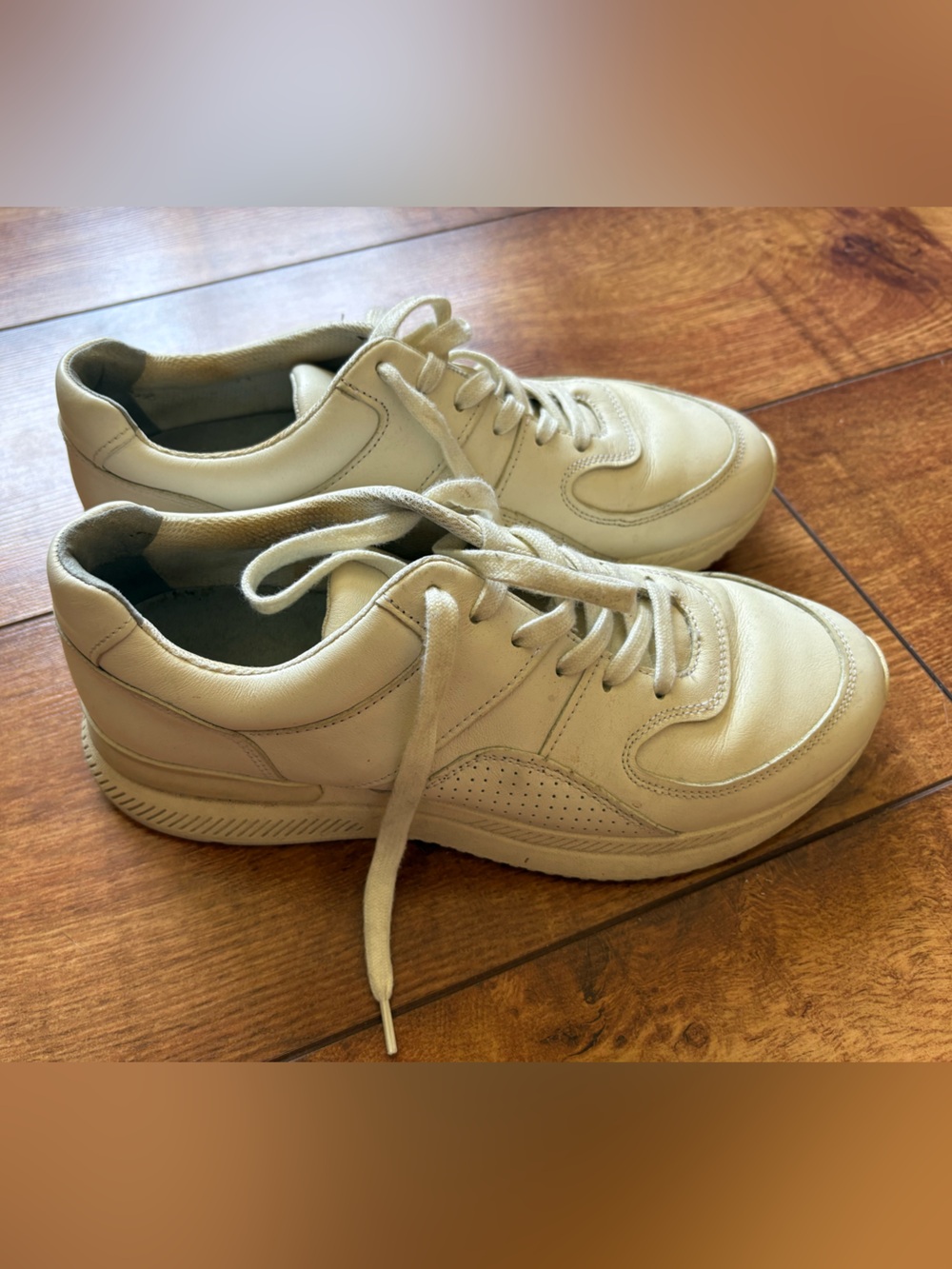 Everlane Leather Off-White Sneakers
